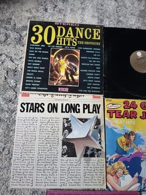 Vintage Vinyl Record Lot 8 LPs Rock Roll Disco Buddy Holly Chuck Berry - Thumbnail 2