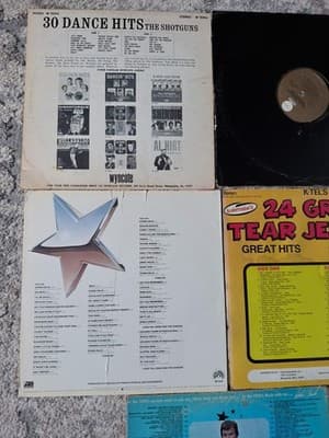 Vintage Vinyl Record Lot 8 LPs Rock Roll Disco Buddy Holly Chuck Berry - Thumbnail 7
