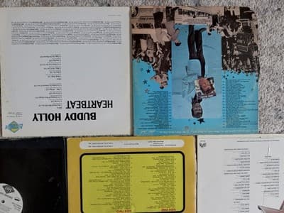 Vintage Vinyl Record Lot 8 LPs Rock Roll Disco Buddy Holly Chuck Berry - Thumbnail 10