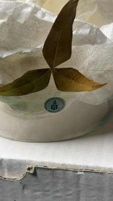 PartyLite Tuscany Lamp Glass HB4200G Hurricane Shade Globe - Thumbnail 4