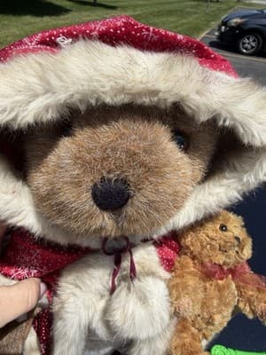 2003 Sasha & Nicholas Holiday Collectible Bears W/ Red Cape On Stand Plush - Thumbnail 6