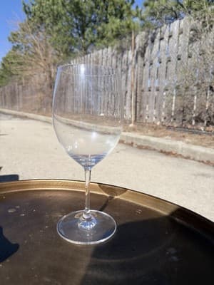 RIEDEL Crystal Wine Glass Large Bowl Clear Stemware Elegant Austria