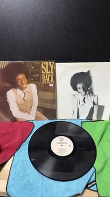 Sly & The Family Stone – Back On The Right Track (1979) LP Funk Soul - Thumbnail 3