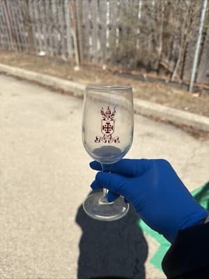 Vintage Stem Wine Glass Red Crest Emblem Clear Goblet 9 Inch - Thumbnail 3