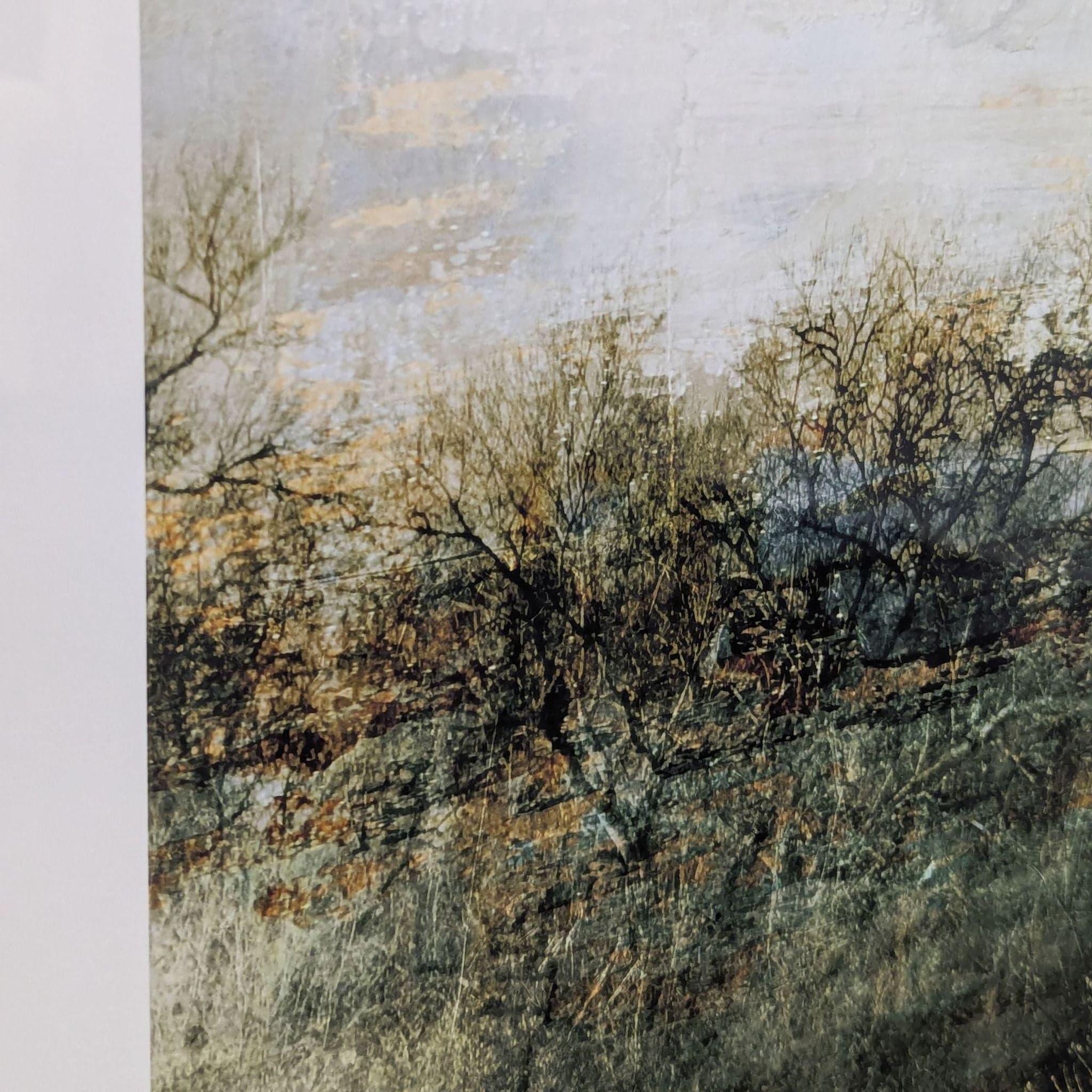 Crate & Barrel/Thea Schrack Framed Large Landscape Print Wall Art - Thumbnail 6