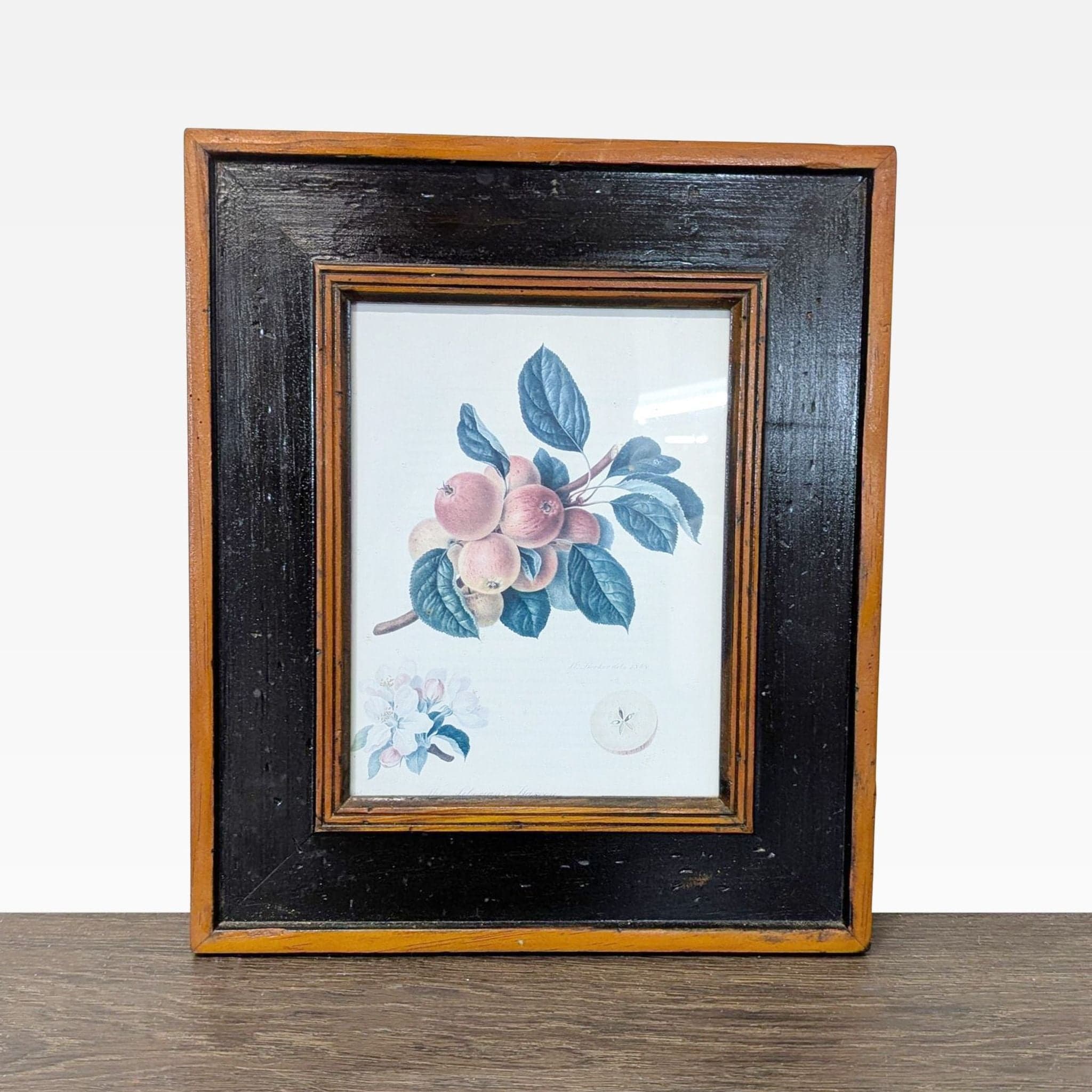 Set of 3 Framed Fruit Botanical Prints - Classic Wall Art - Thumbnail 3
