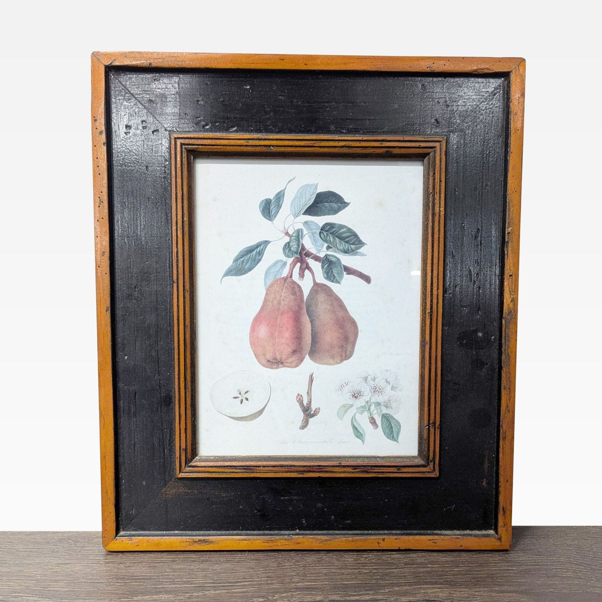 Set of 3 Framed Botanical Fruit Prints – Classic Wall Art Decor - Thumbnail 3