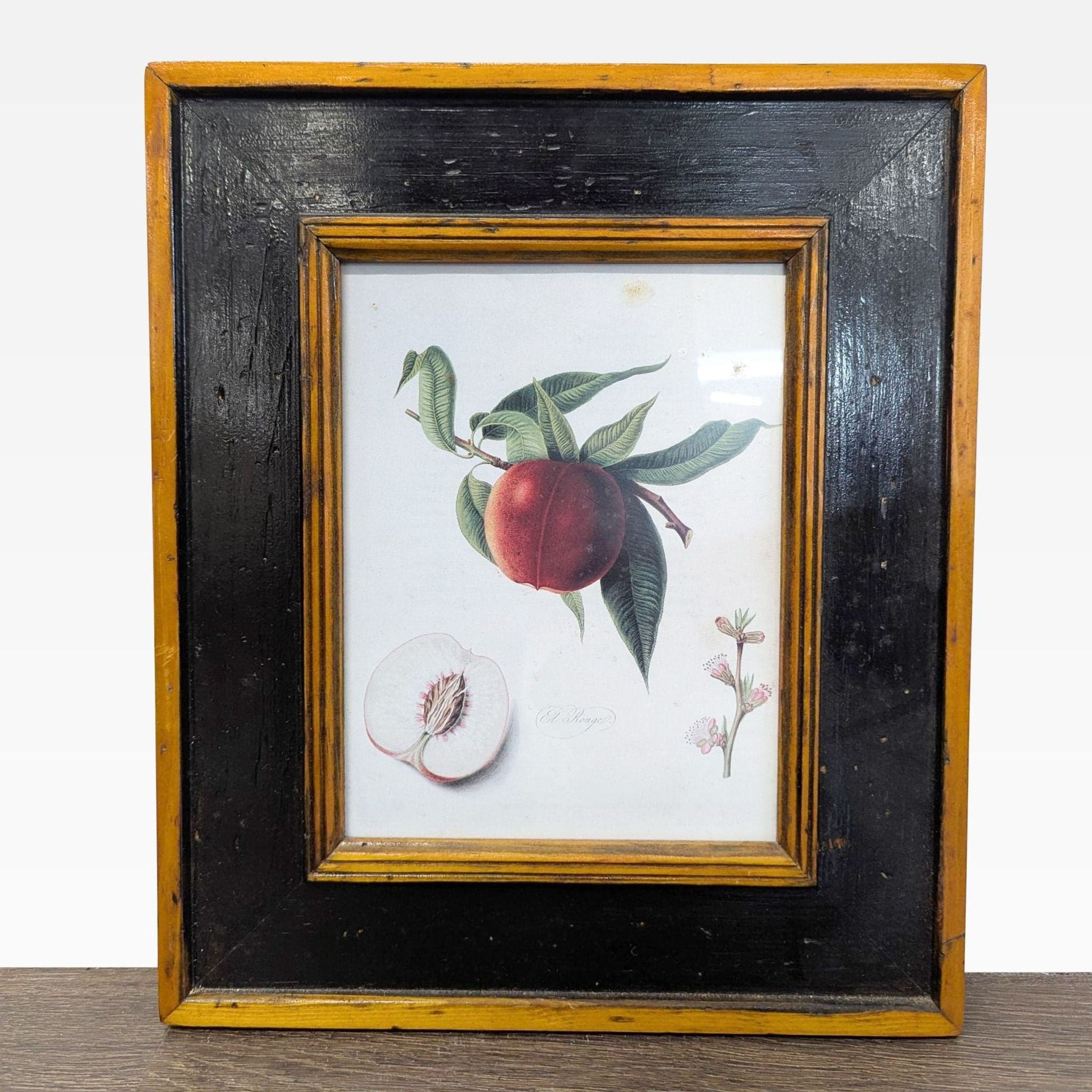 Set of 3 Framed Botanical Fruit Prints – Classic Wall Art Decor - Thumbnail 5