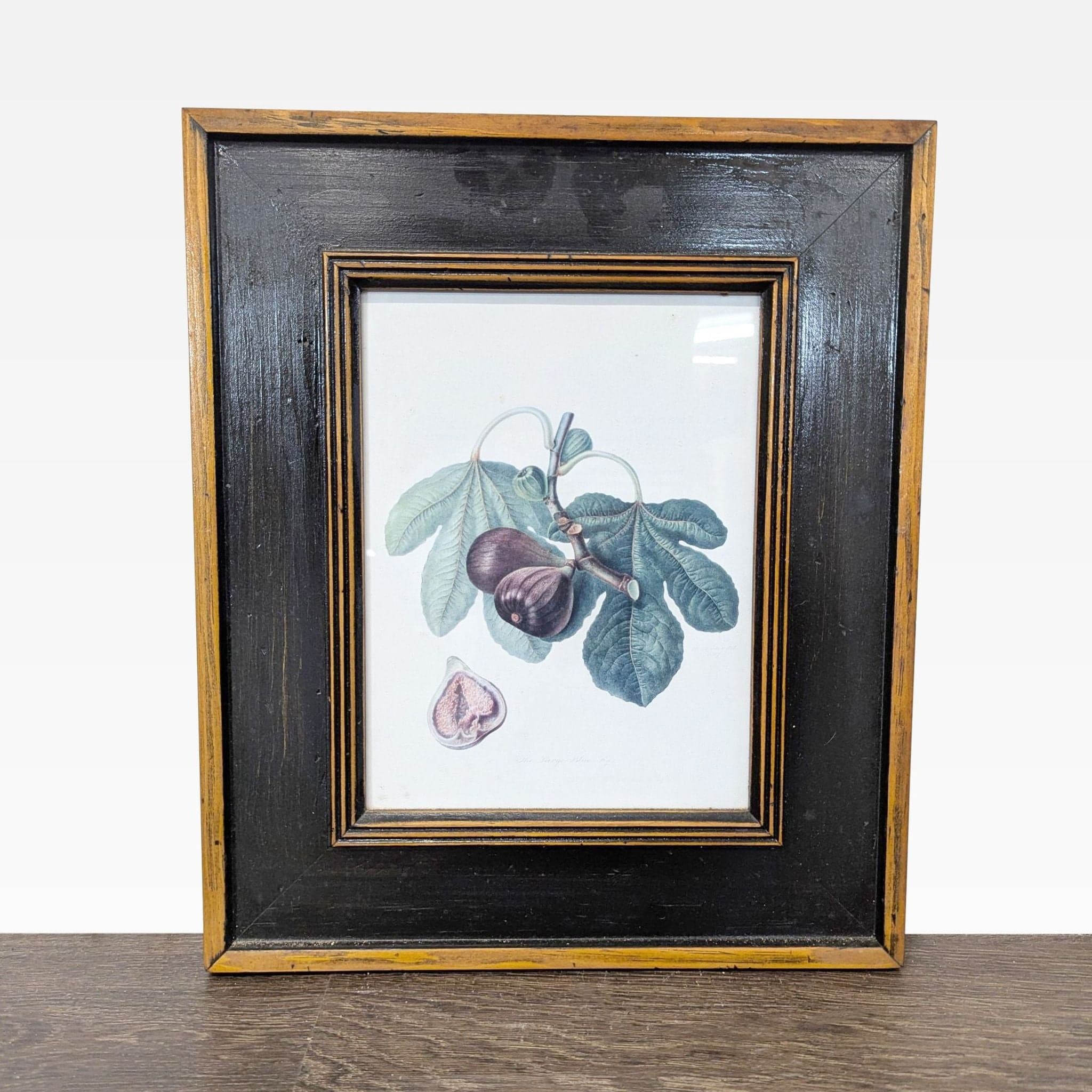 Set of 3 Framed Fruit Botanical Prints - Classic Wall Art - Thumbnail 7