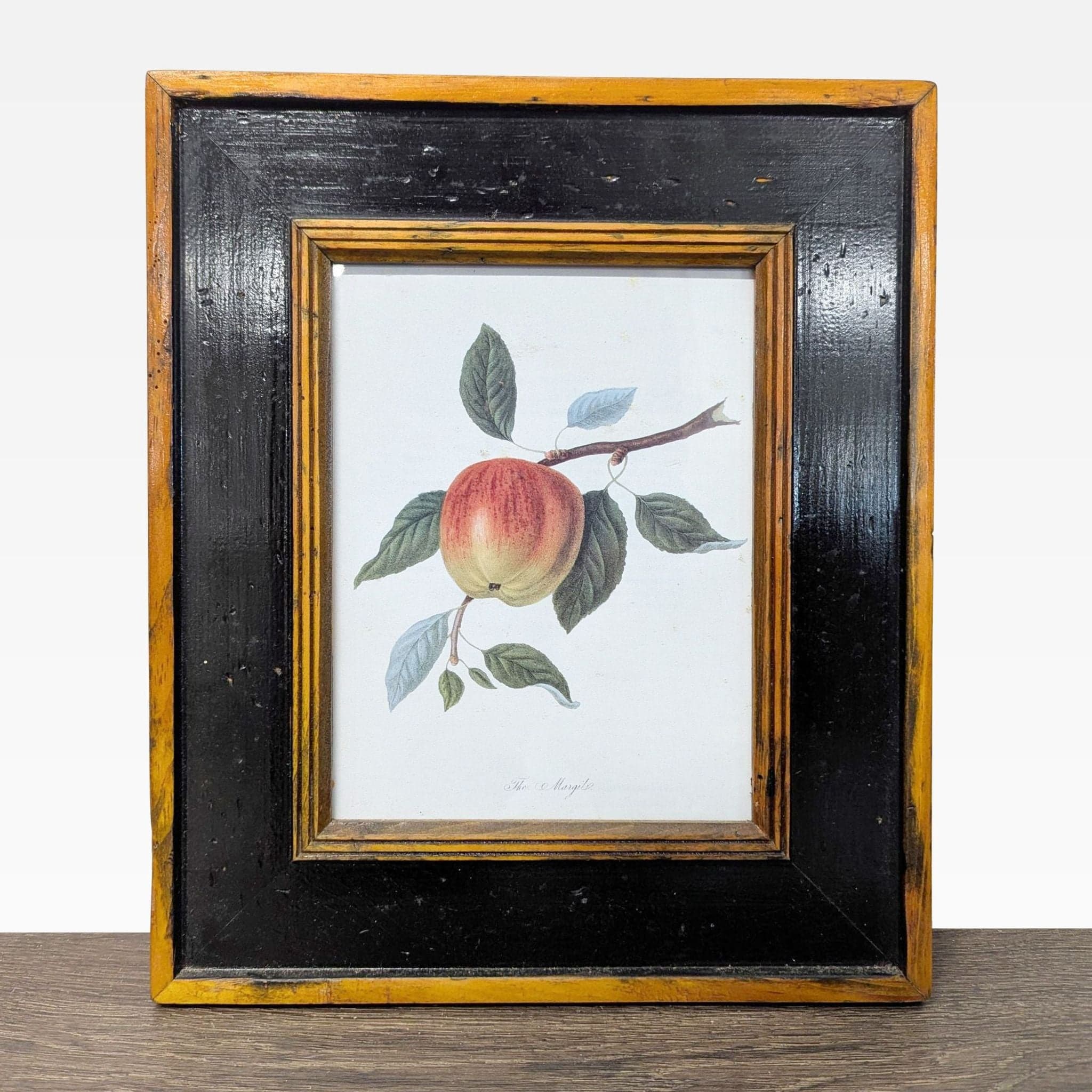 Set of 3 Framed Botanical Fruit Prints – Classic Wall Art Decor - Thumbnail 4