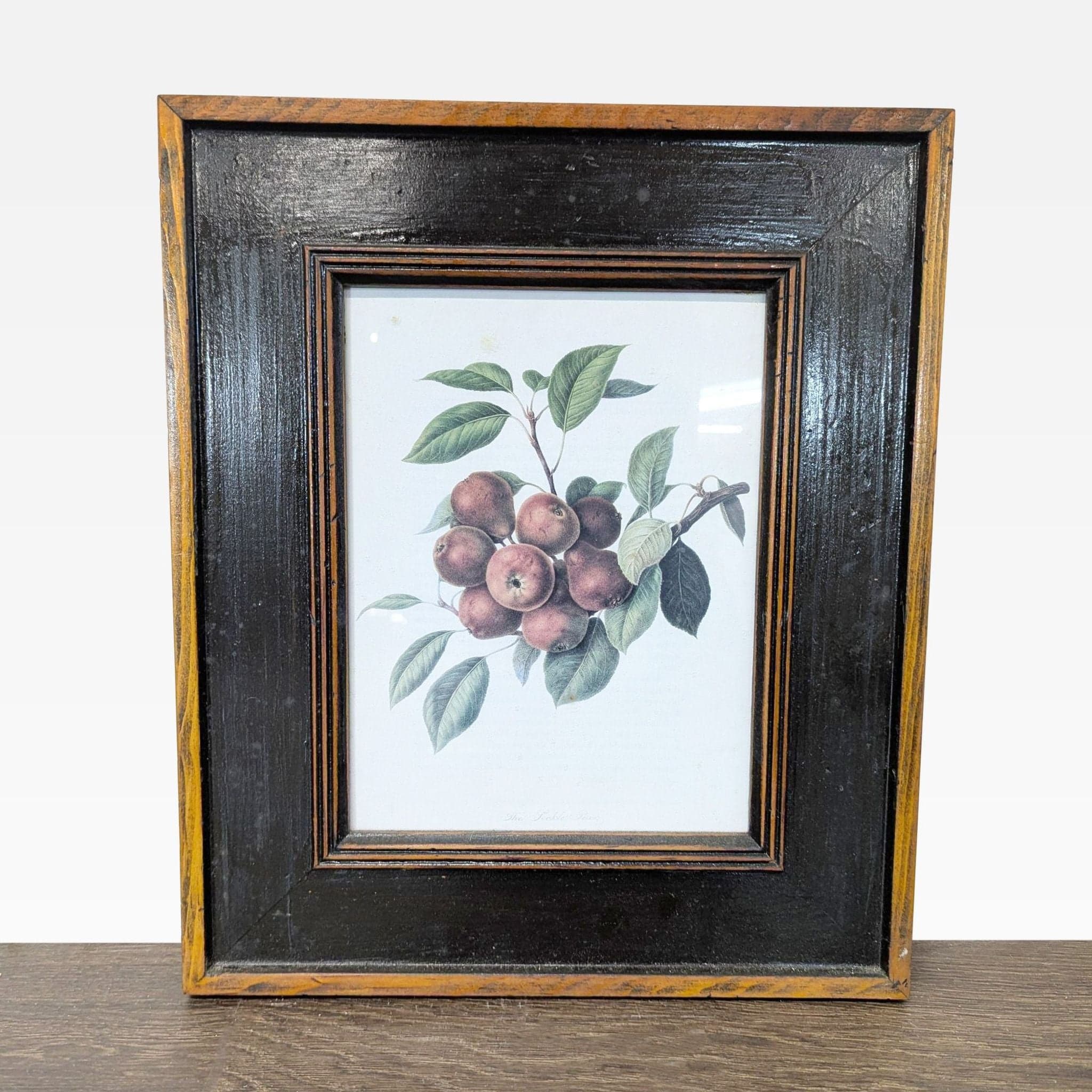 Set of 3 Framed Fruit Botanical Prints - Classic Wall Art - Thumbnail 4