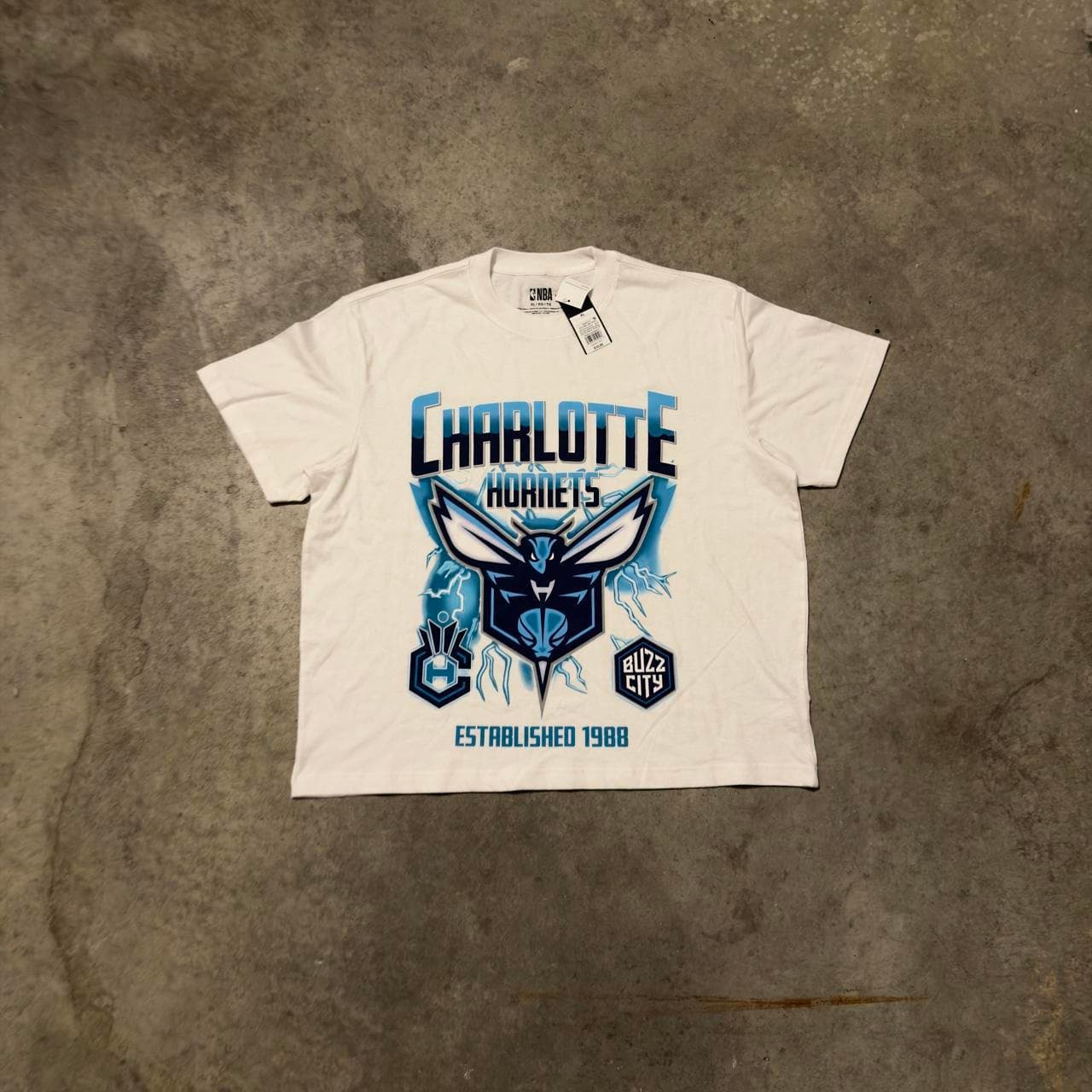 Super Rare Charlotte Hornets Buzz City NBA Graphic Tee - DEADSTOCK GRAIL