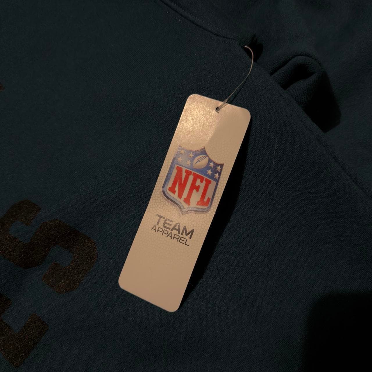 Super Rare Philadelphia Eagles 1933 Champion Hoodie - Deadstock GRAIL - Thumbnail 4