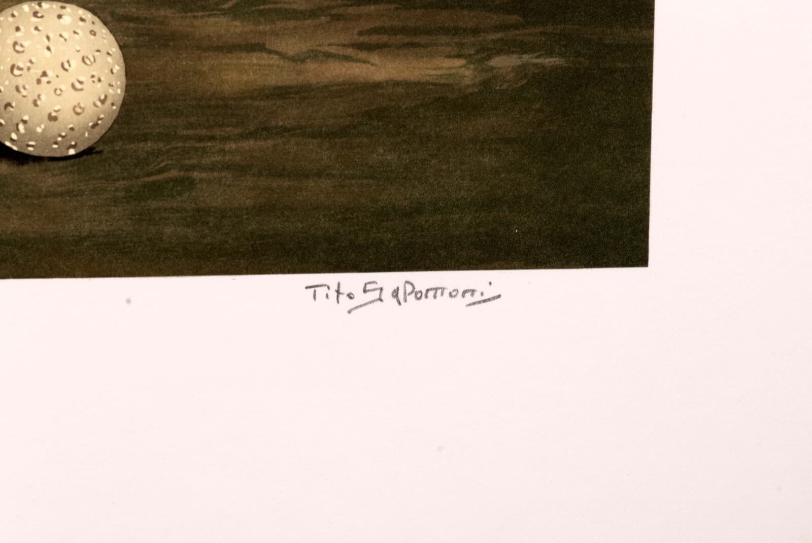 Tito Salomoni Catch a Star Signed Surreal Realism Lithograph on Paper 140/200 UF - Thumbnail 8