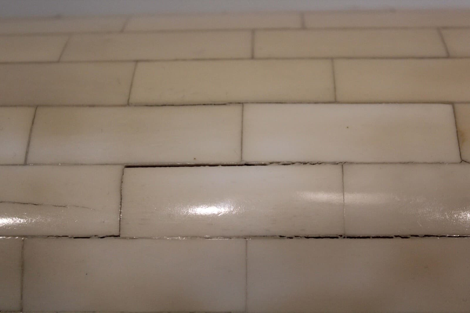 Tessellated Bone Large Box By Robert Marcius - Thumbnail 5