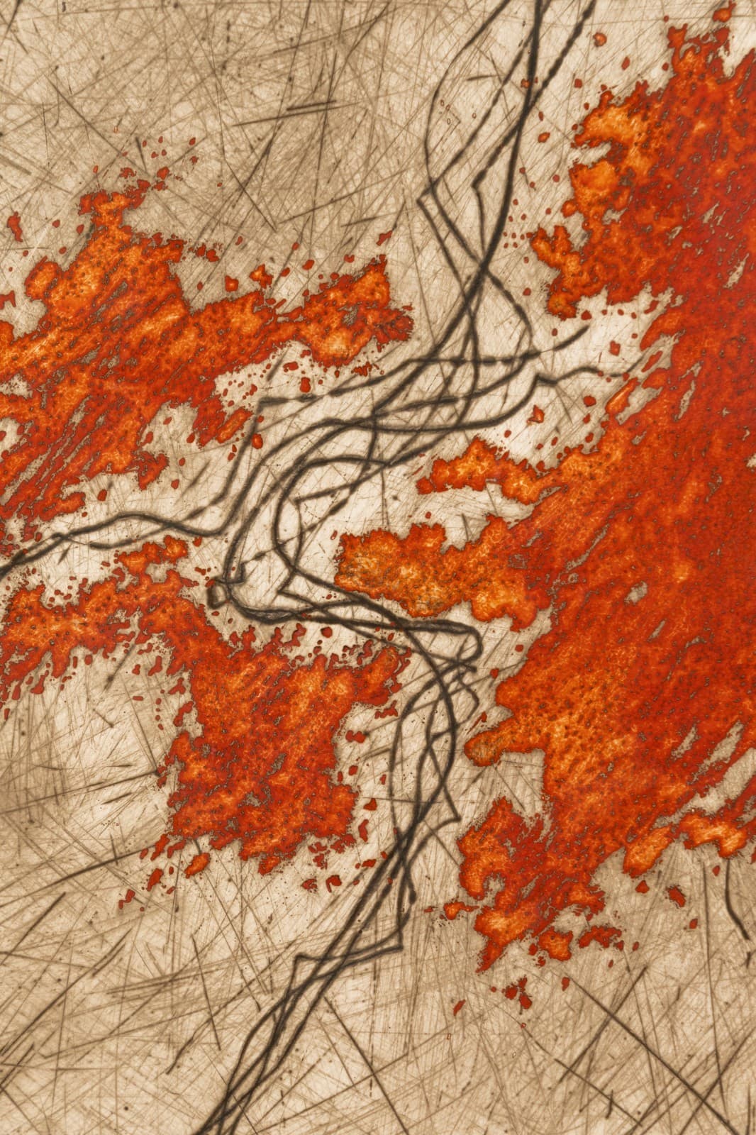 Yannick Ballif - Untitled (Orange Leaves) Signed Modern Embossed Relief Etching - Thumbnail 3
