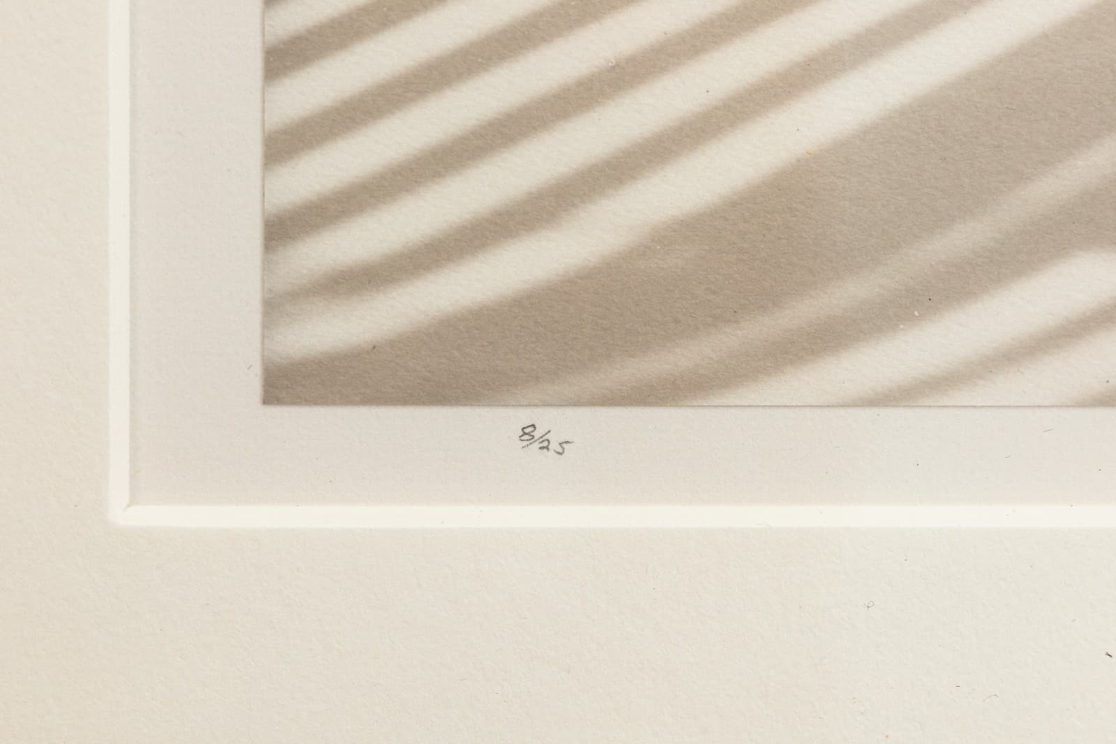 James Ware Pitts - Two Ranunculus On Curved, Striped Background, 1994 Signed - Thumbnail 6
