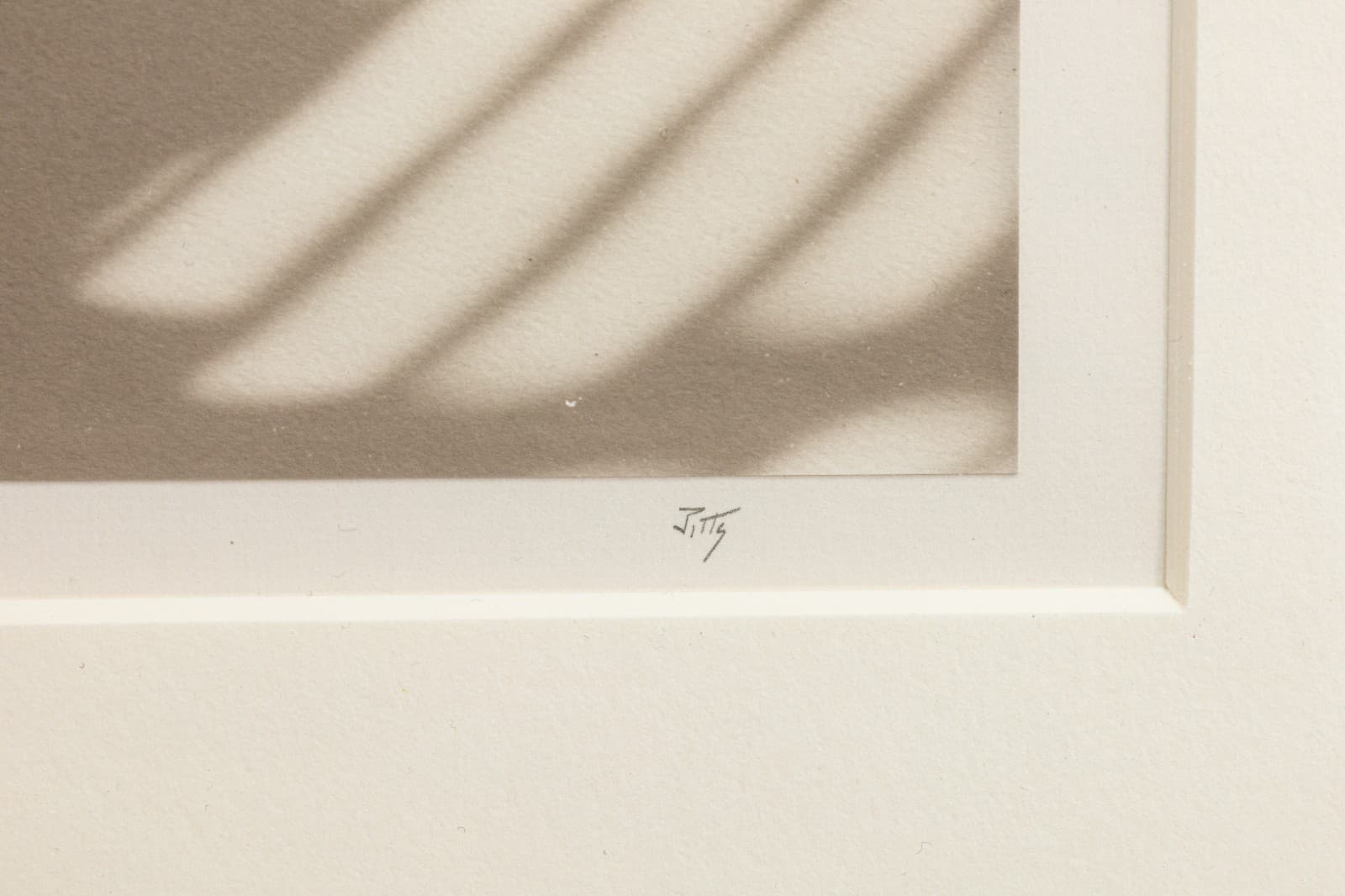 James Ware Pitts - Two Ranunculus On Curved, Striped Background, 1994 Signed - Thumbnail 7