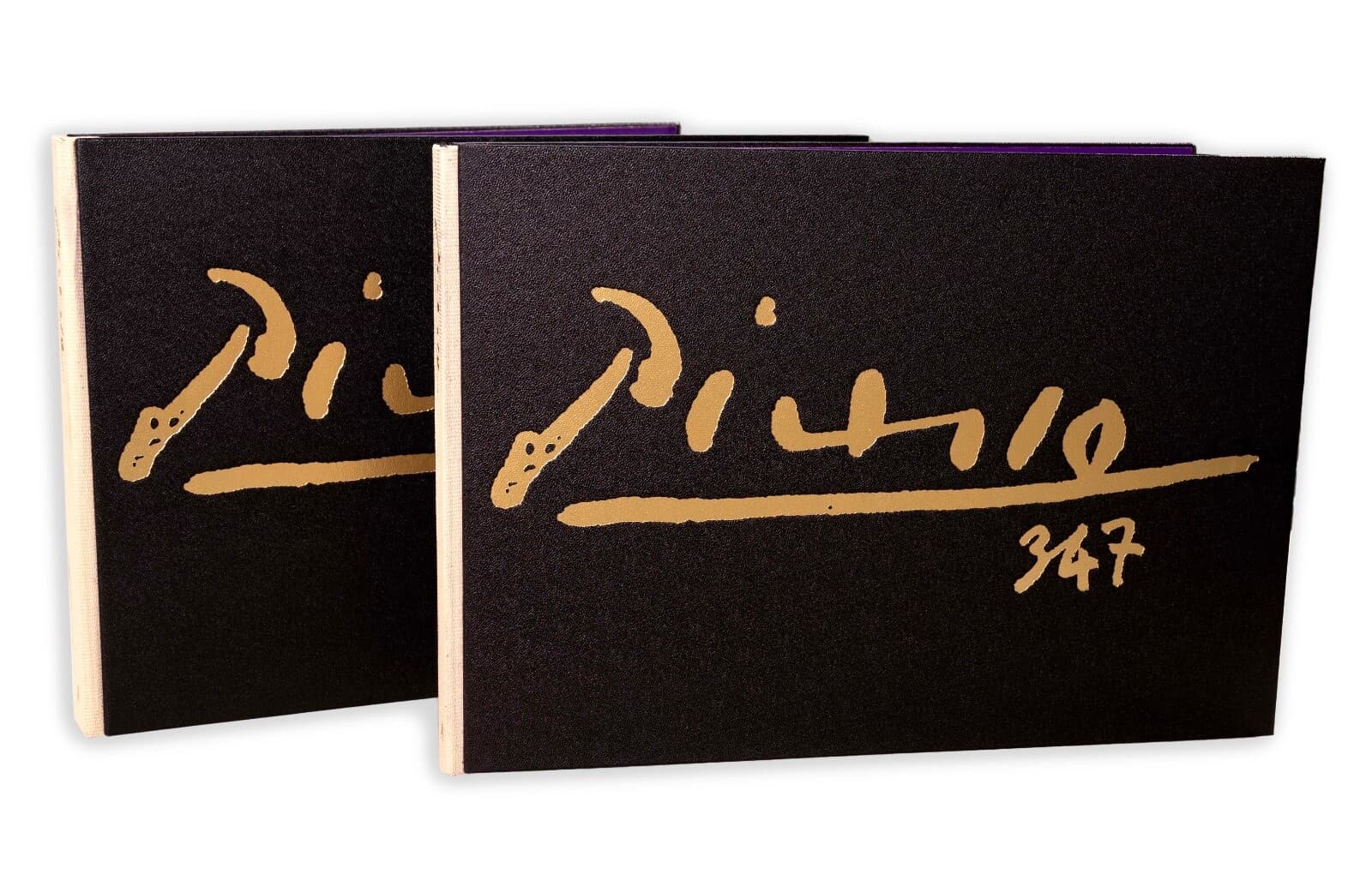 Pablo Picasso 347 Series Volume I & II Books in Clamshell Box 1970 1st Edition - Thumbnail 3