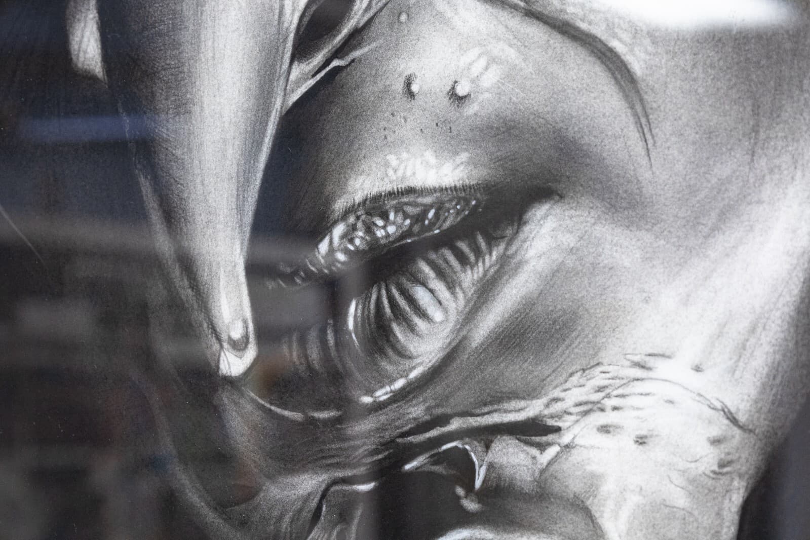 Daniel Samaniego Dark Witch Portrait Graphite & Charcoal Drawing on Paper Framed - Thumbnail 5