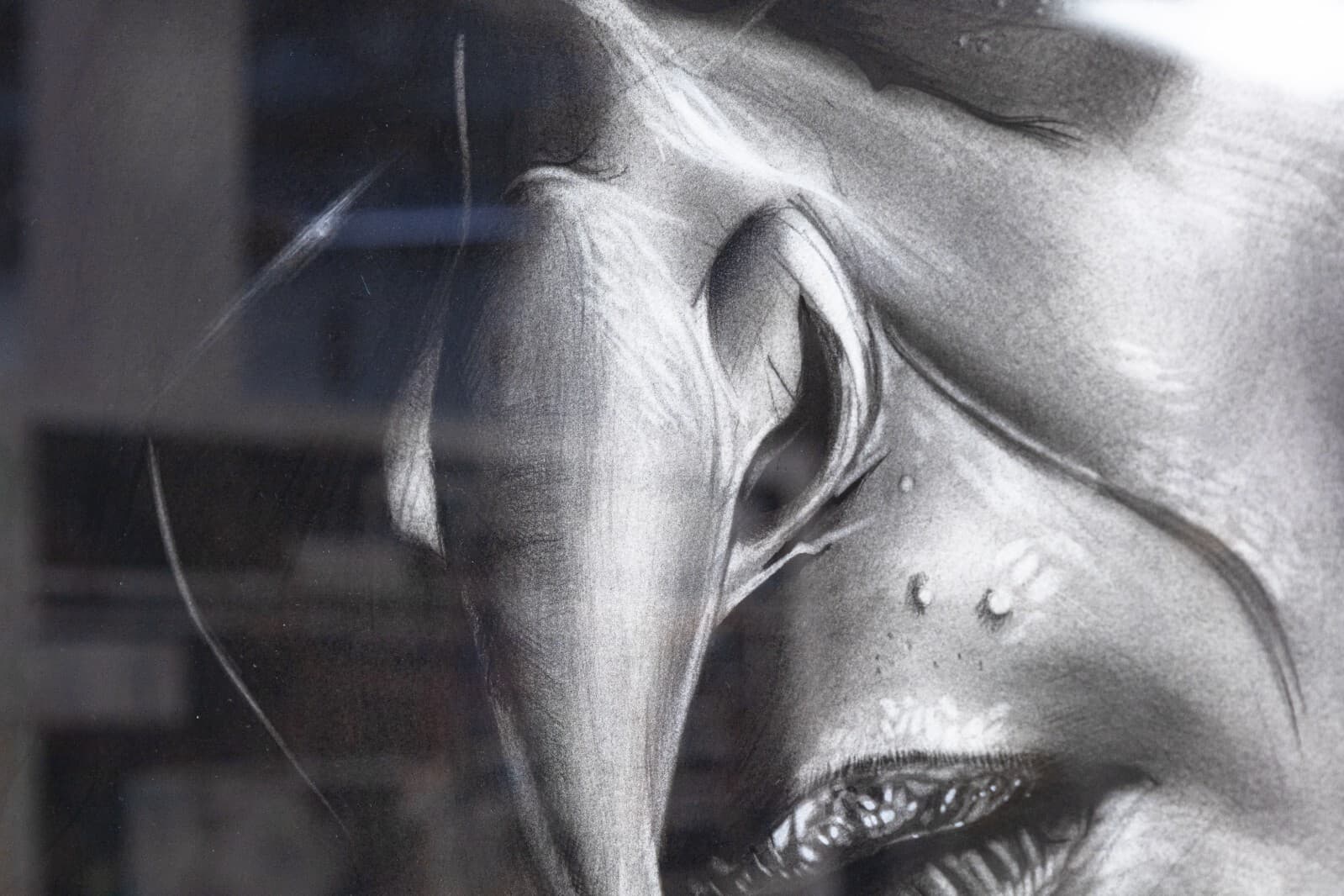 Daniel Samaniego Dark Witch Portrait Graphite & Charcoal Drawing on Paper Framed - Thumbnail 4