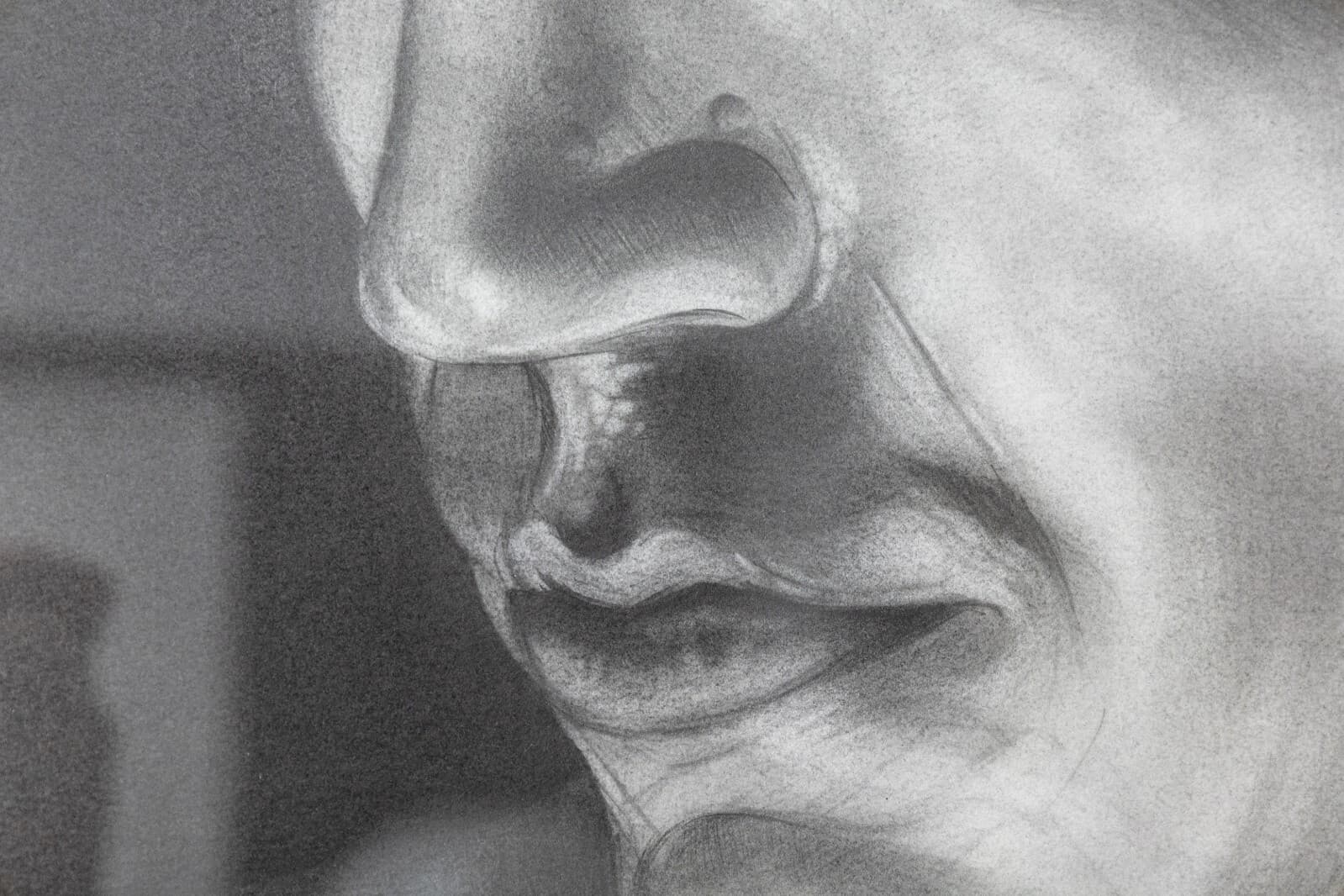 Daniel Samaniego Male Portrait II Graphite & Charcoal Drawing on Paper Framed - Thumbnail 6