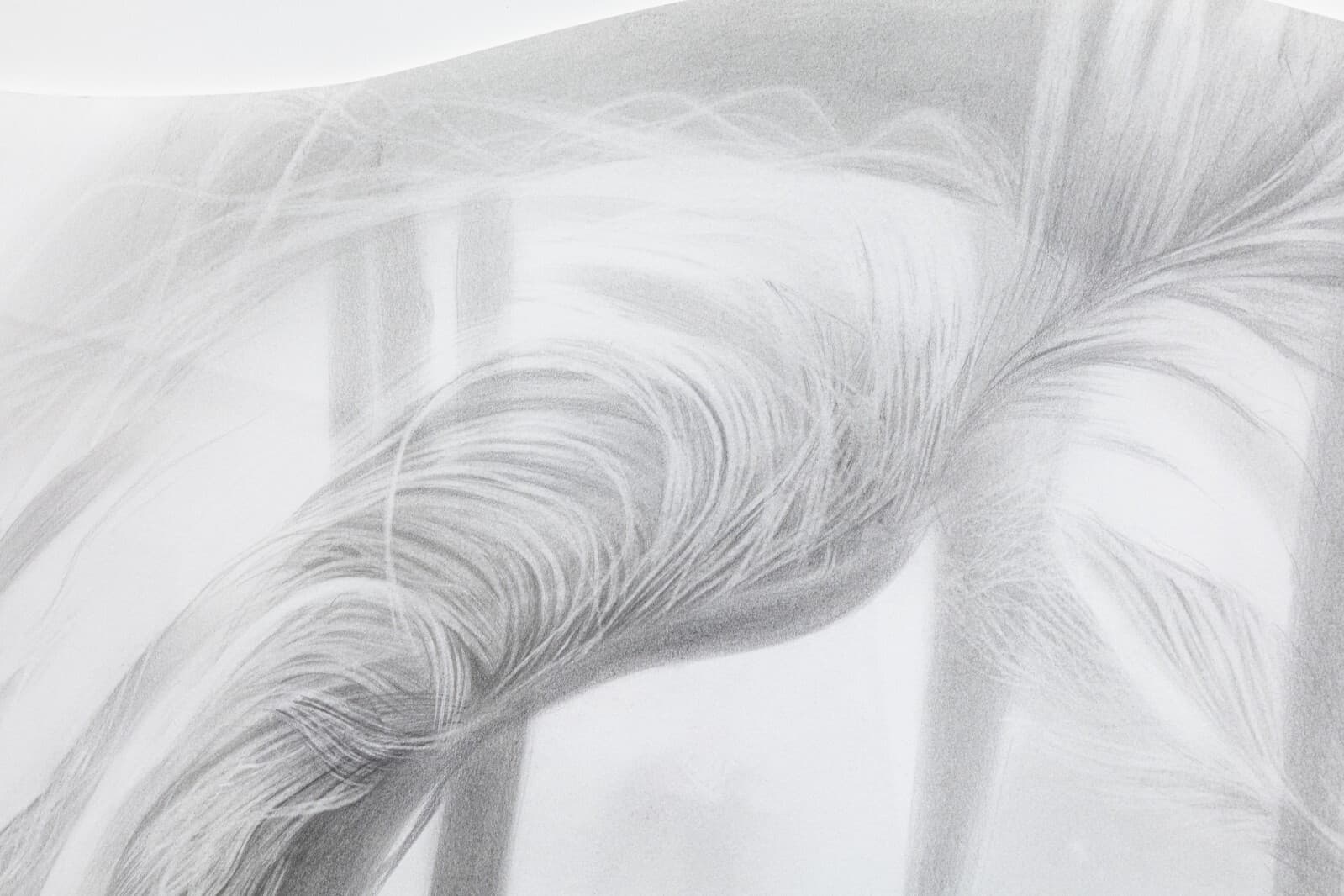 Daniel Samaniego Male Portrait I Contemporary Graphite Drawing on Paper Framed - Thumbnail 3