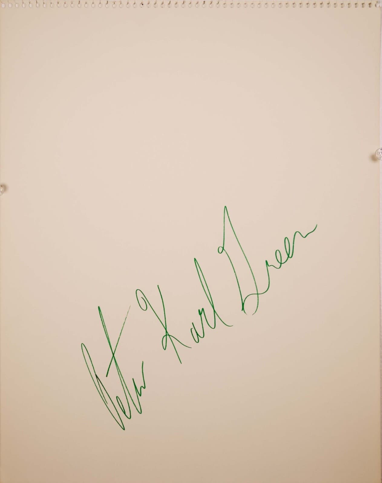 Peter Karl Green Untitled Signed Modern Figurative Felt-Tip Drawing on Paper UF - Thumbnail 6