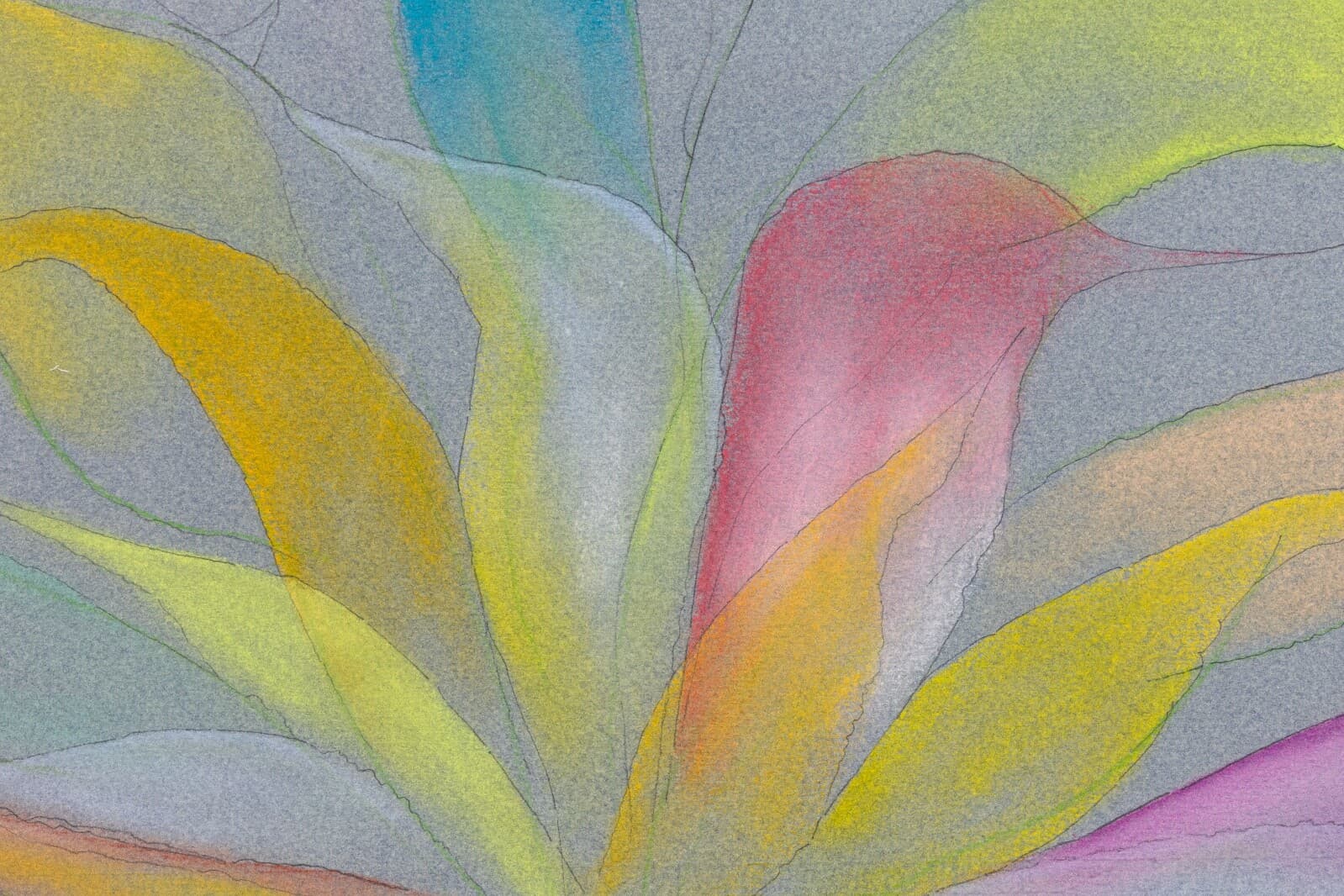 Stanley Boxer Bouquets Spawning Intruders Signed Crayon Pastel & Pencil Drawing - Thumbnail 5