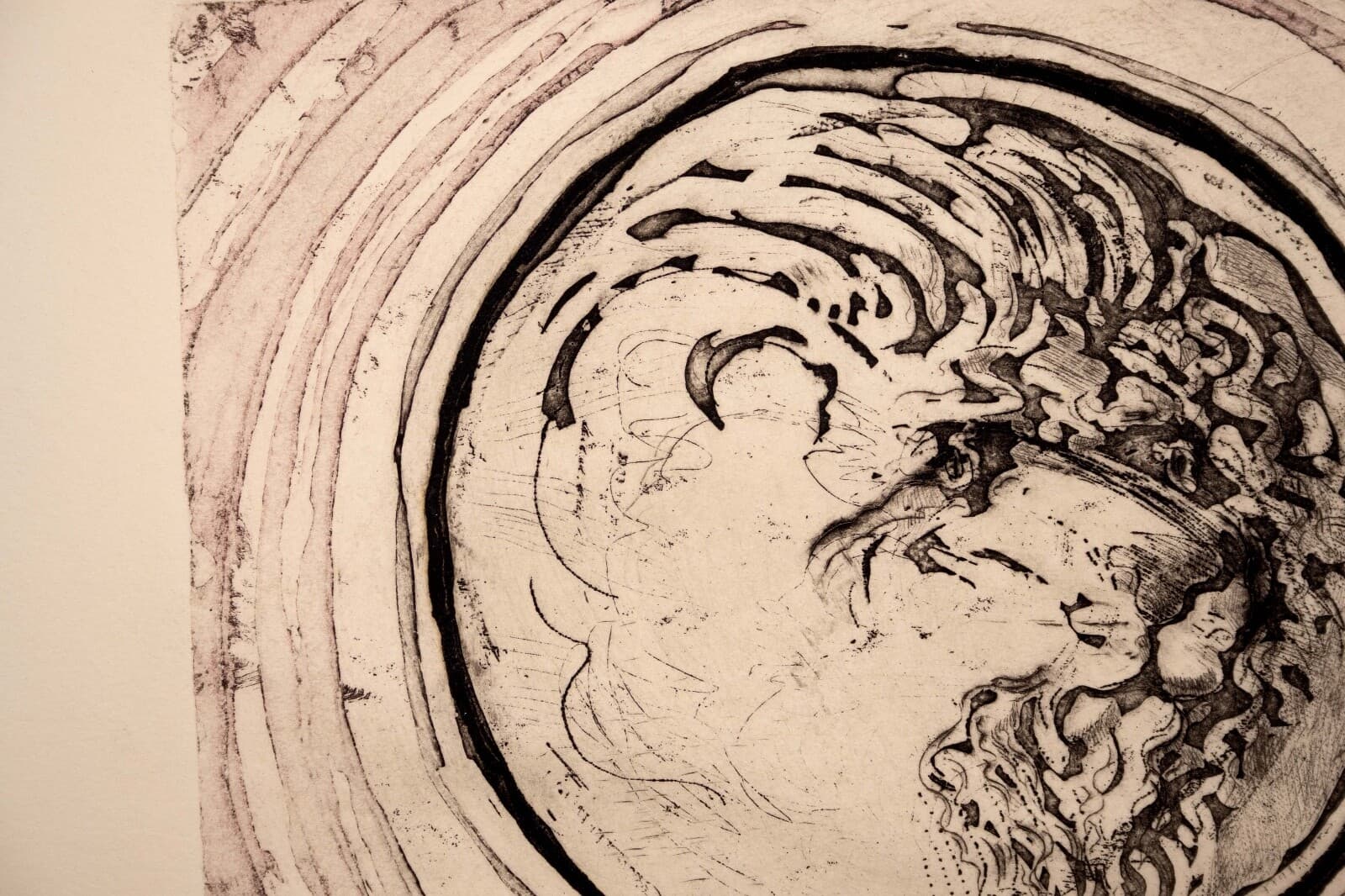 John Mills Lion Medallion Signed Contemporary Etching on Paper A.P. Unframed '71 - Thumbnail 4