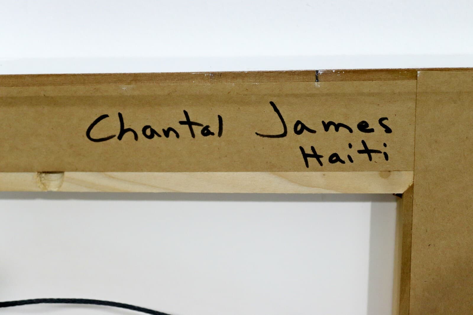 Chantal James Haiti Village Photograph - Thumbnail 4