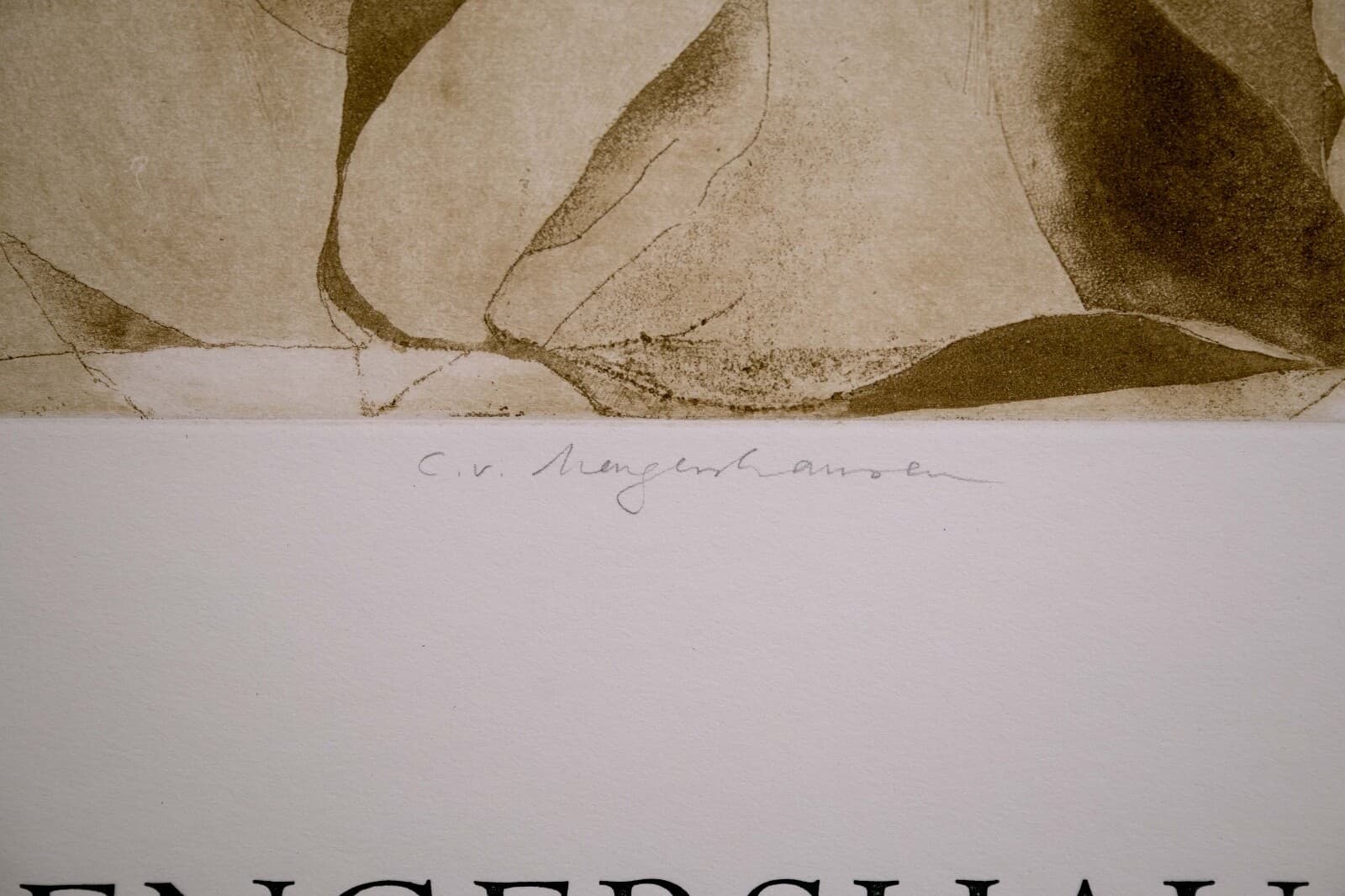 C. v. Mengershausen Earthscapes Lantern Gallery Signed Lithographic Poster - Thumbnail 6