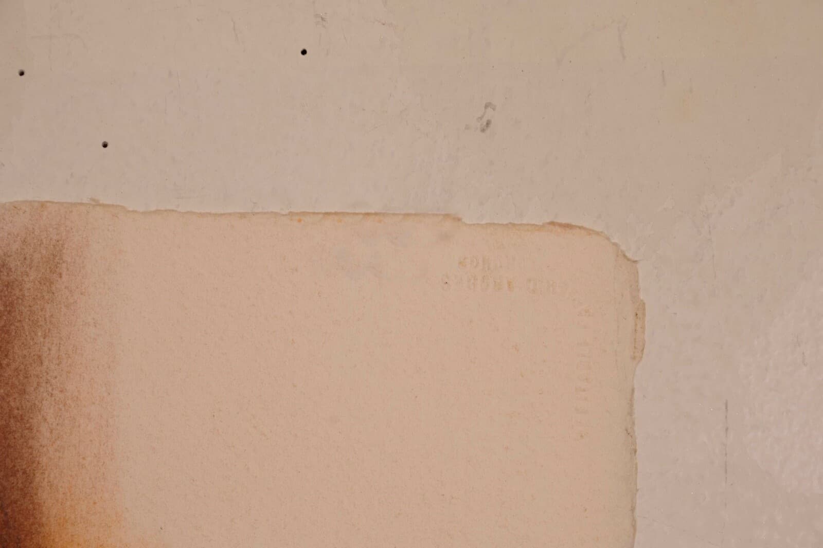 Helen Bershad Rosetta Earth I Diptych Signed Postmodern Pastels 1978 Unframed - Thumbnail 7