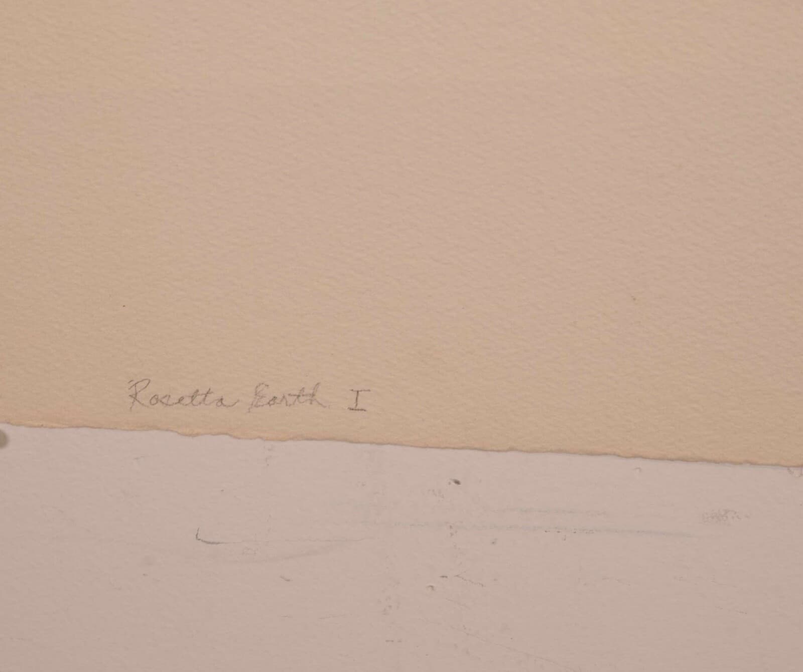Helen Bershad Rosetta Earth I Diptych Signed Postmodern Pastels 1978 Unframed - Thumbnail 11