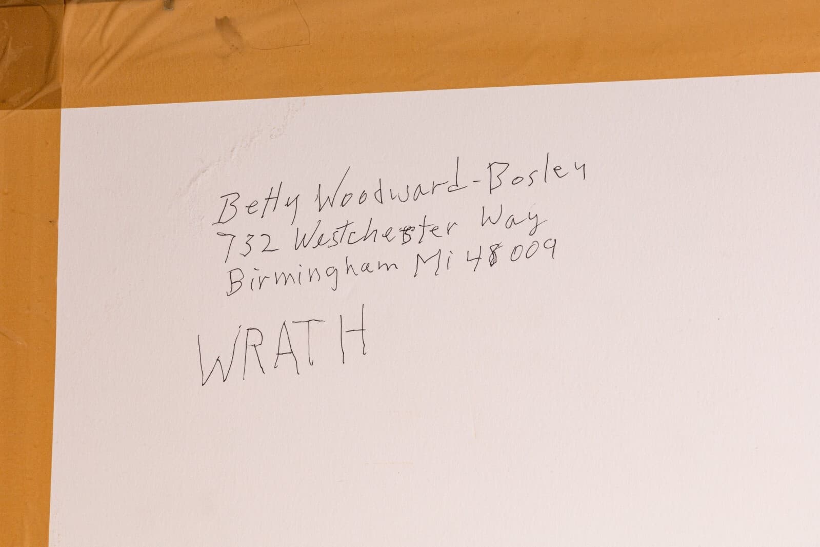 Betty Woodward-Bosley Wrath Signed Modern Figurative Drawing on Paper Framed - Thumbnail 10