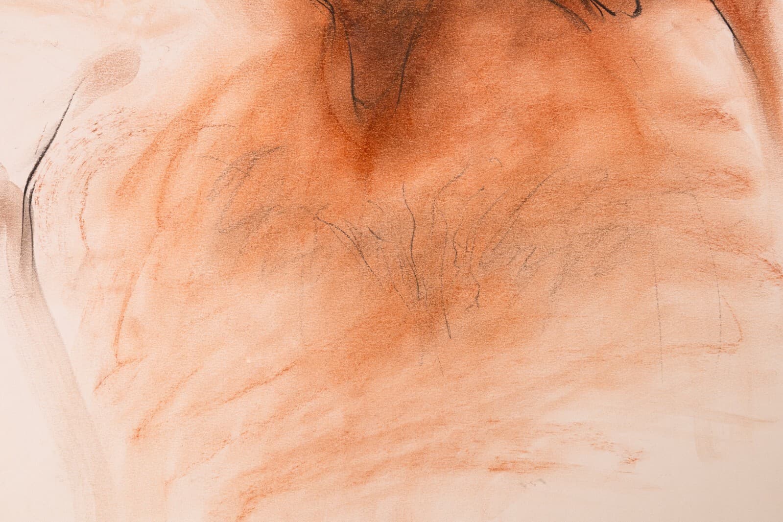 Betty Woodward-Bosley Wrath Signed Modern Figurative Drawing on Paper Framed - Thumbnail 7