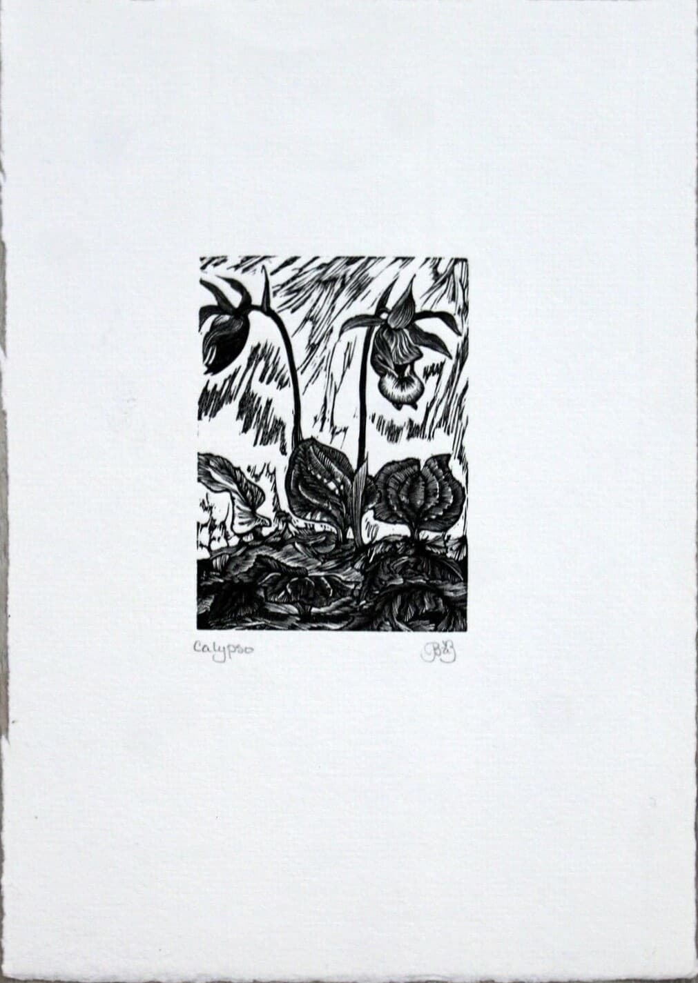 Unframed Brendan A. Brandis Wood Engraving Calypso