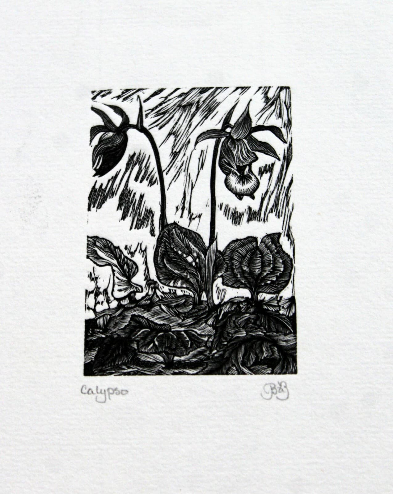 Unframed Brendan A. Brandis Wood Engraving Calypso - Thumbnail 3