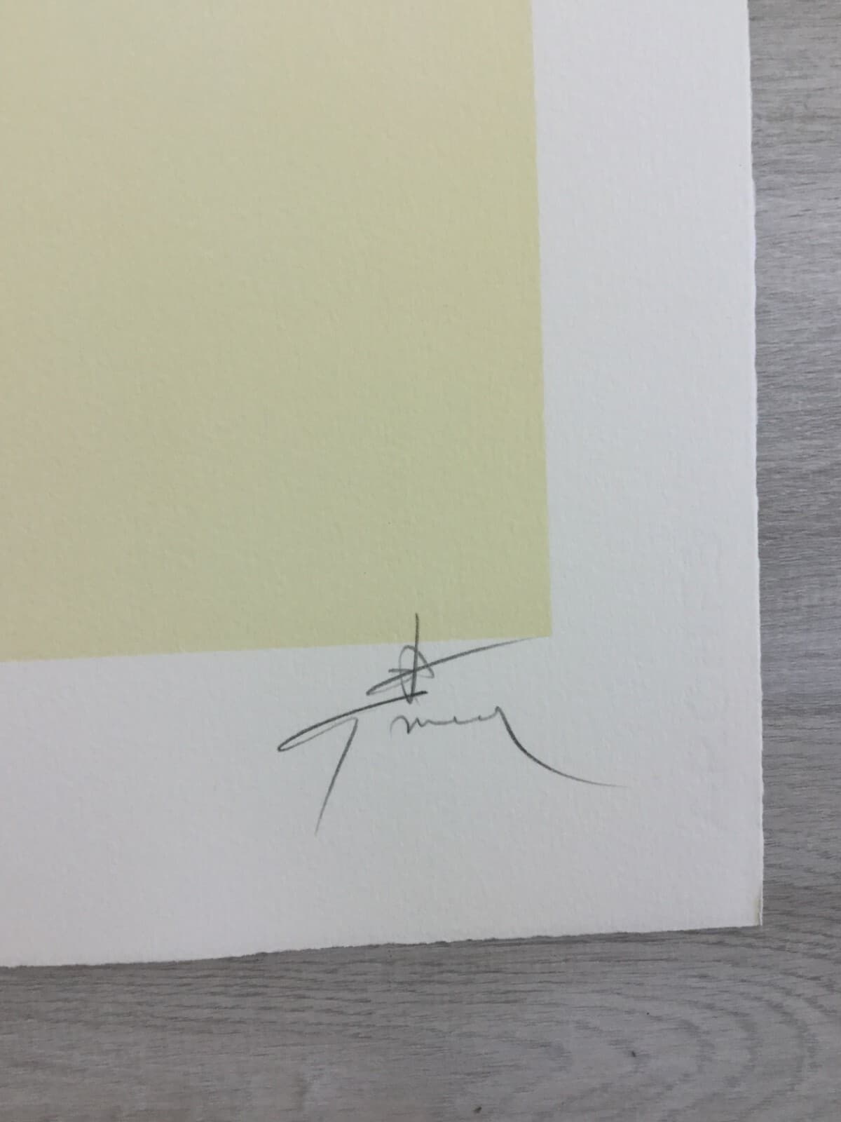 Art Deco Modern Unframed Rene Gruau Hand Signed Lithograph Homme a la Marguerite - Thumbnail 3