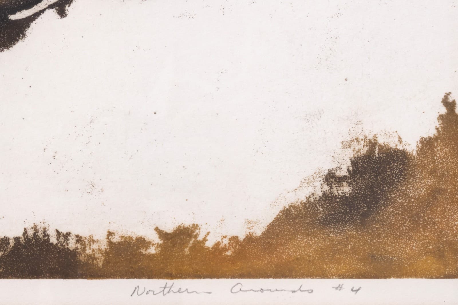 Allen Smutylo - Northern Grounds #4, 1985 Signed Etching 27/50 Modern Landscape - Thumbnail 4