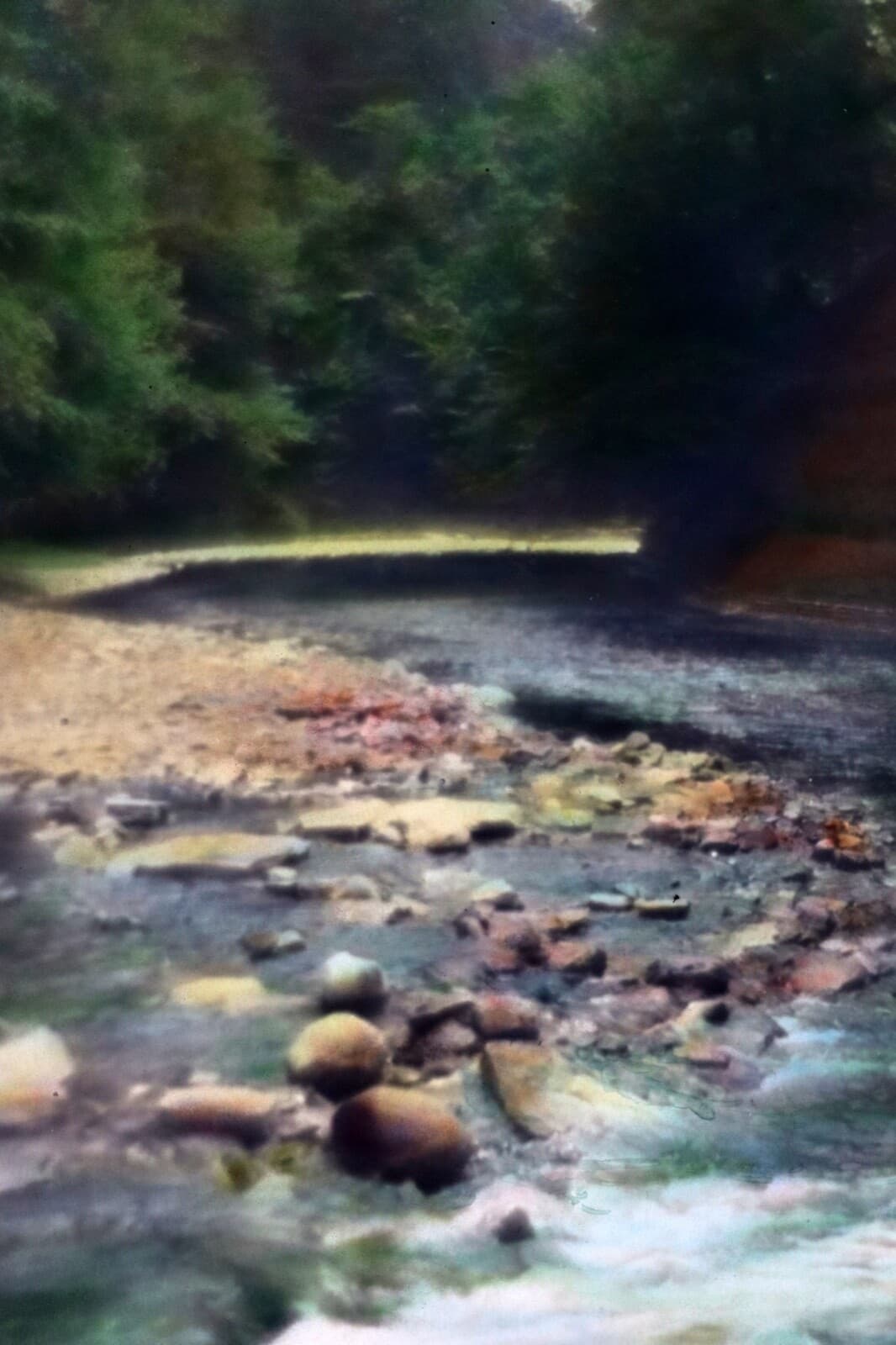 Percy Murray A Mountain Stream Signed Vintage Hand-Colored Photo Print - Thumbnail 4