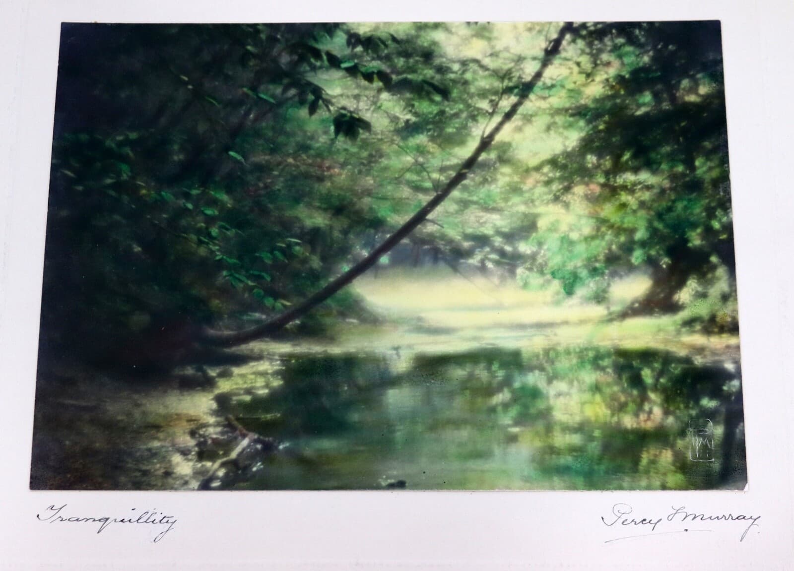 Percy Murray Traquility Signed Vintage Hand-Colored Photo Print - Thumbnail 3