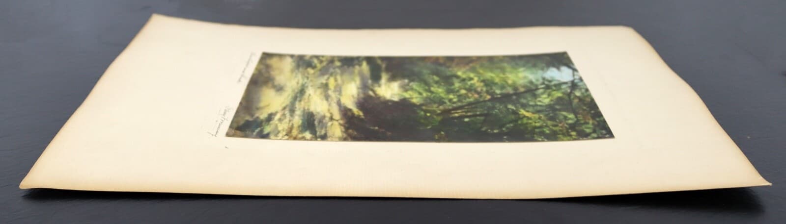 Percy Murray Sunlight and Shade Signed Vintage Photo - Thumbnail 5