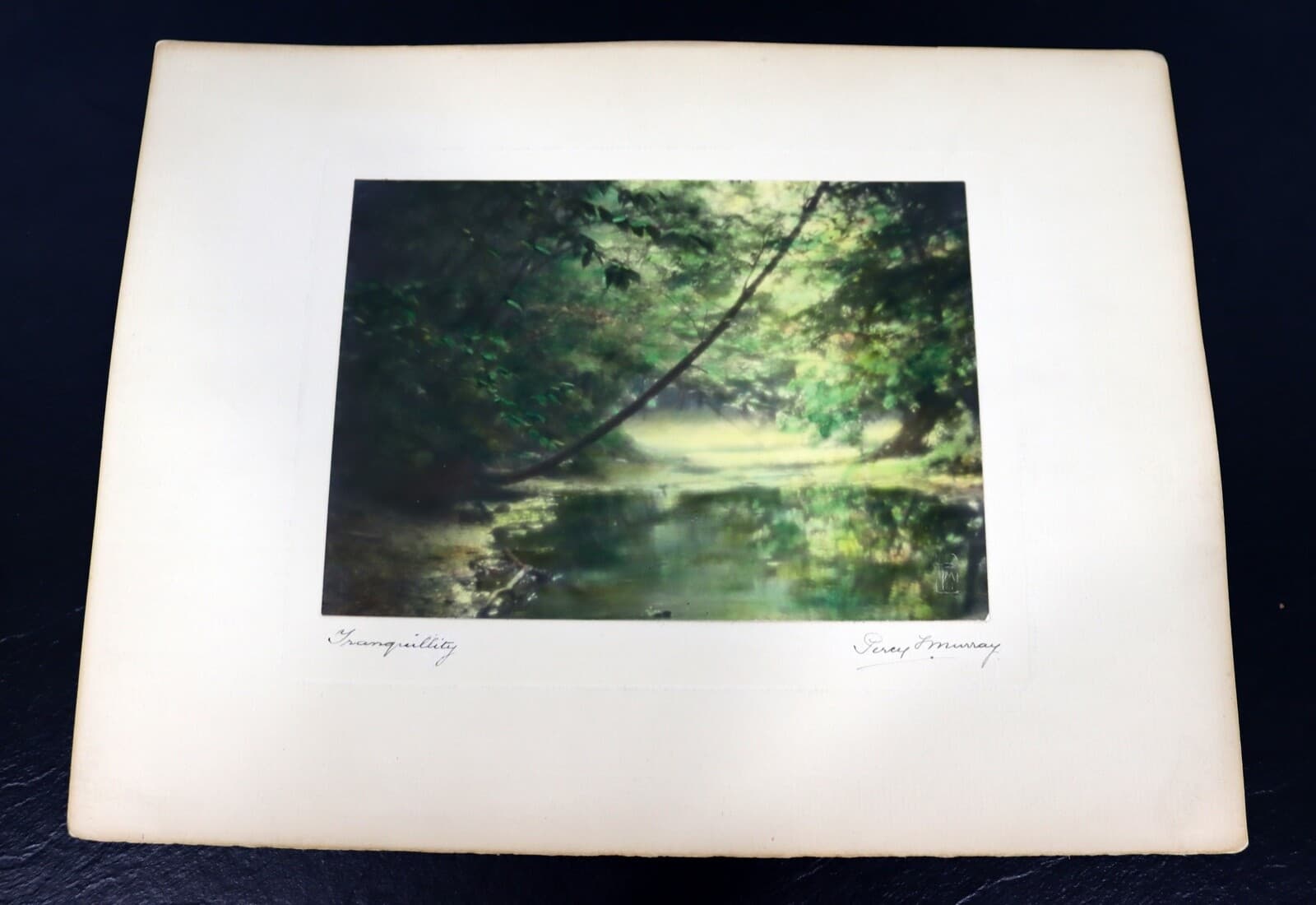 Percy Murray Traquility Signed Vintage Hand-Colored Photo Print - Thumbnail 2