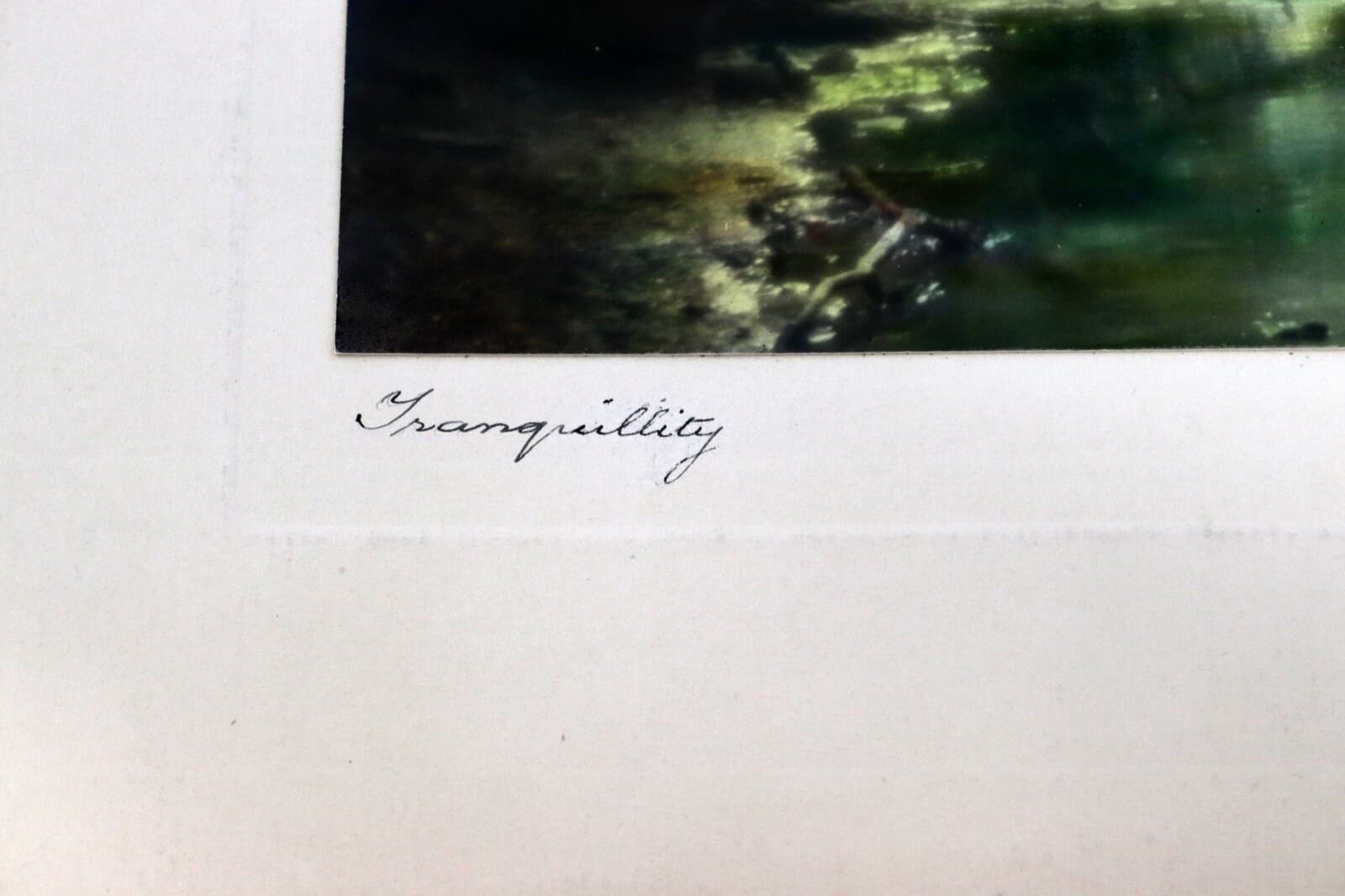 Percy Murray Traquility Signed Vintage Hand-Colored Photo Print - Thumbnail 4