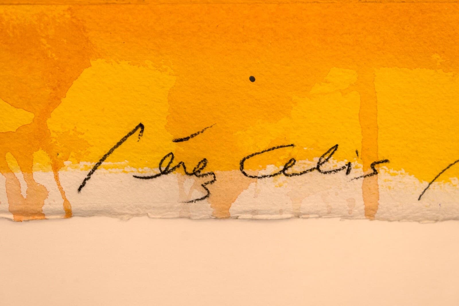 Perez Celis Buenos Aires Abstract Oil Painting on Paper 1989 - Thumbnail 9