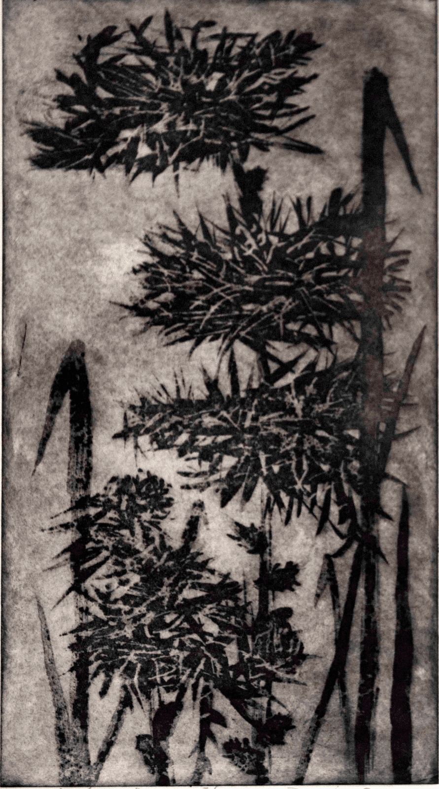 Mid Century Modern Framed Signed Don Jensen Four Flowers Mezzotint Etching - Thumbnail 2
