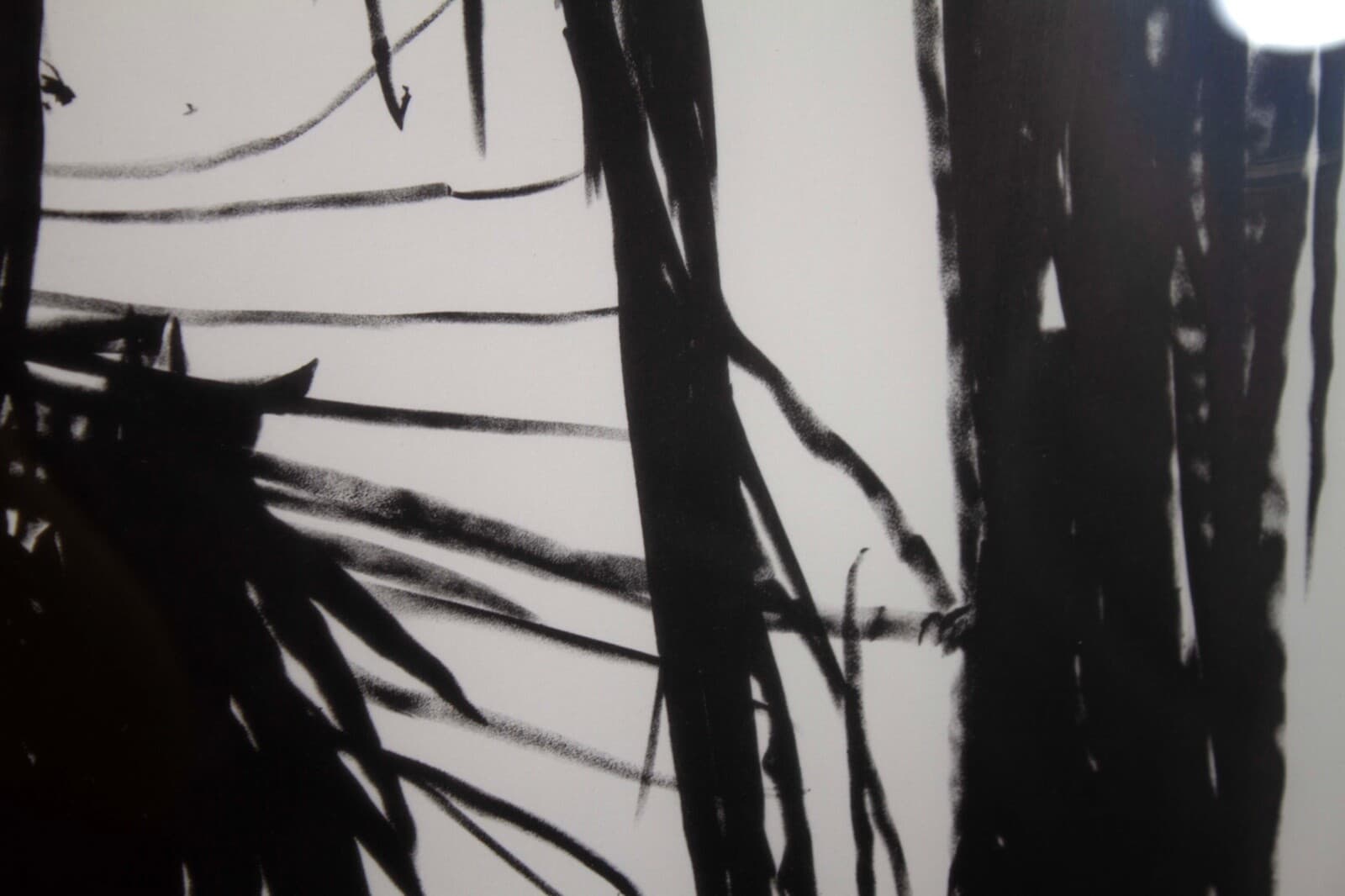 Leonard Baskin The Patriarch Signed Modern Lithograph on Paper 87/160 Framed '71 - Thumbnail 6