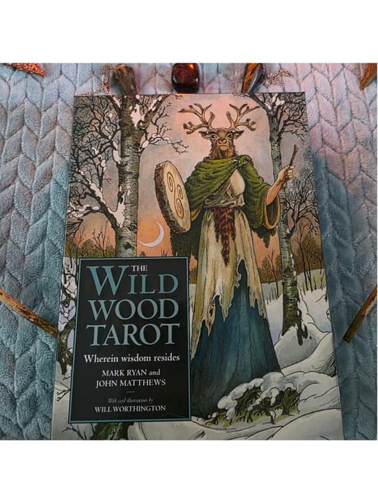 The Wildwood Tarot Deck & Guidebook Set by Mark Ryan & John Matthews (Complete) - Thumbnail 11