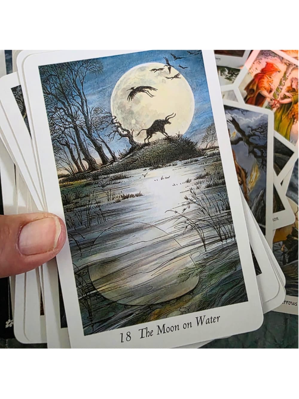 The Wildwood Tarot Deck & Guidebook Set by Mark Ryan & John Matthews (Complete) - Thumbnail 4